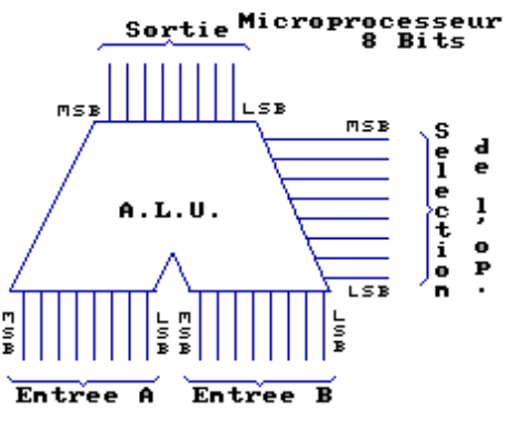 ula