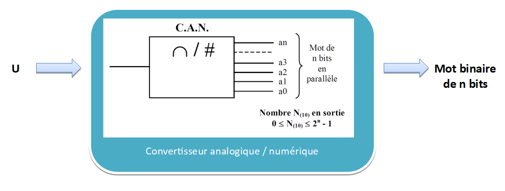 can1