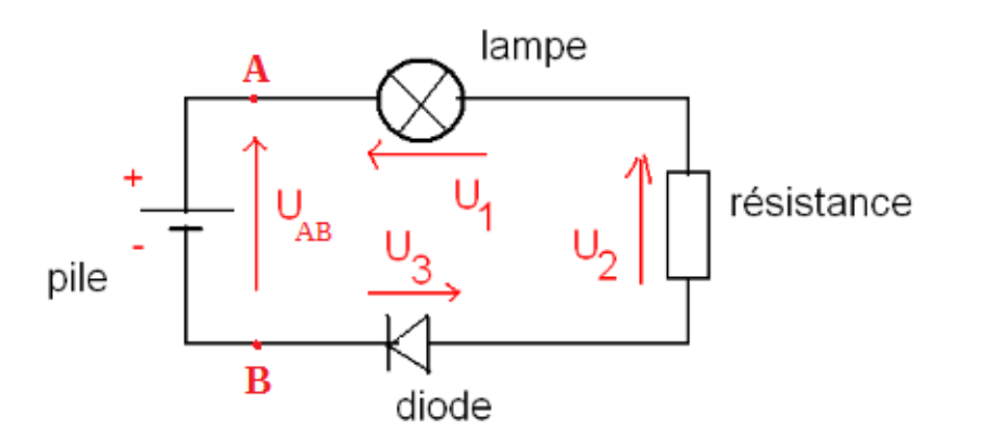 mailleintro