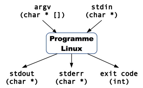 program interaction