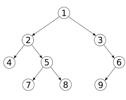 arbre 1 9